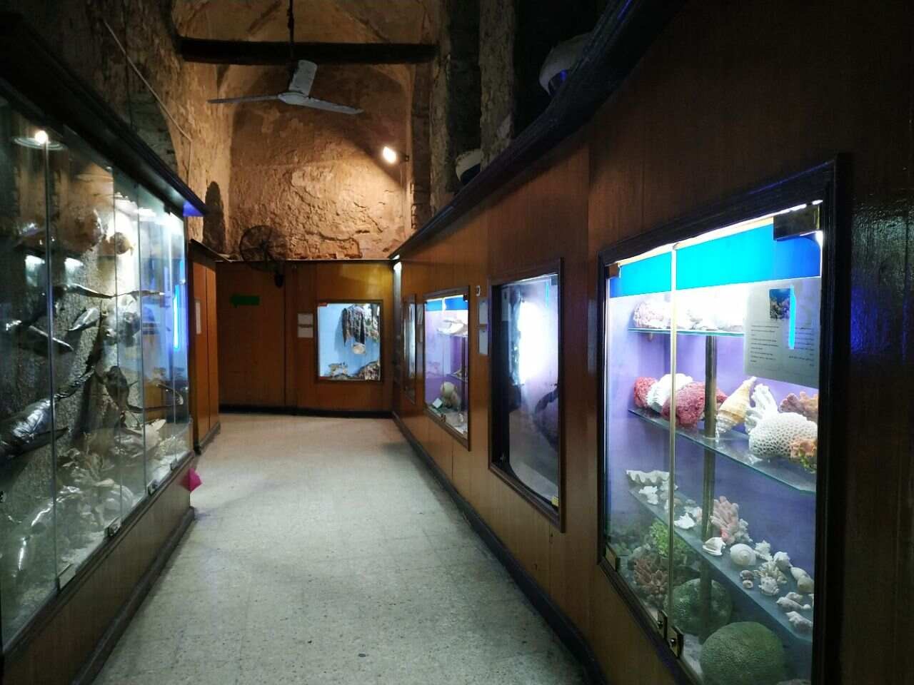 Alexandria Aquarium Museum | Egypt Tours Gate