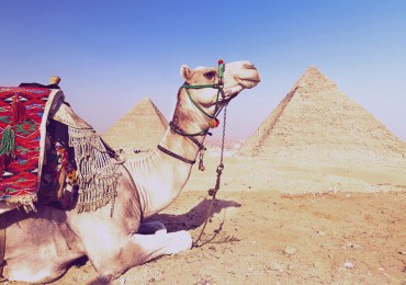 Tagesausflug zu den Pyramiden von Gizeh, Sphinx, Sakkara und Memphis vom Hafen Sokhna aus