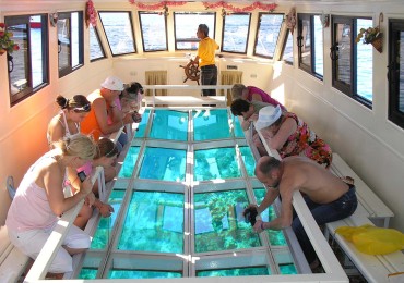 Excursion en bateau Ã  fond de verre Ã  Dahab