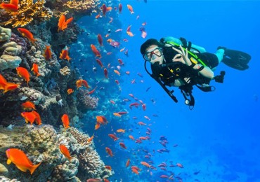 Tauch- und Schnorcheltour in Ras Mohamed vom Hafen von Sharm el Sheikh