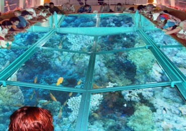 Glass Bottom Boat Tour in Hurghada