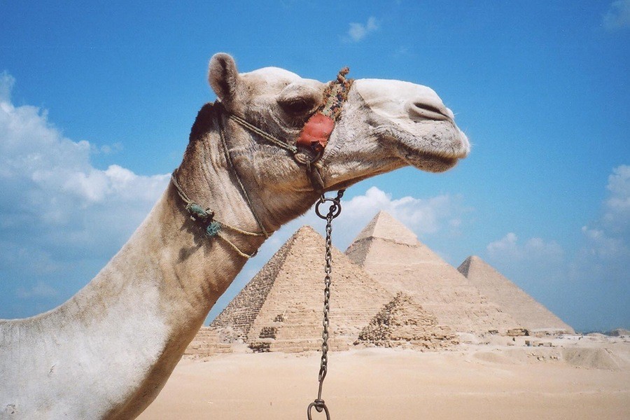 Cairo day excursions from Hurghada by Car