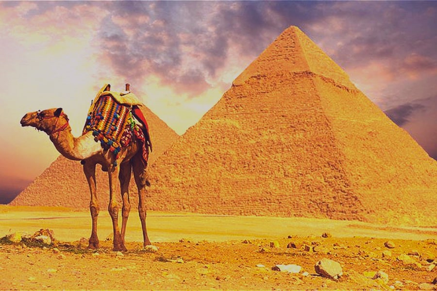 Cairo Day Excursion from El Gouna by Air