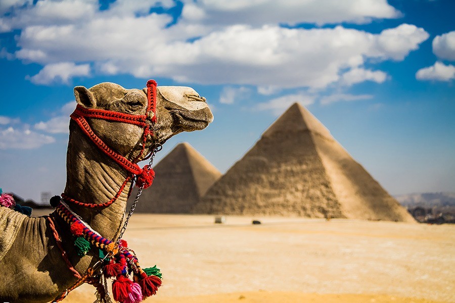 Giza Pyramids, Sphinx, Sakkara and Memphis day excursion from Sokhna port