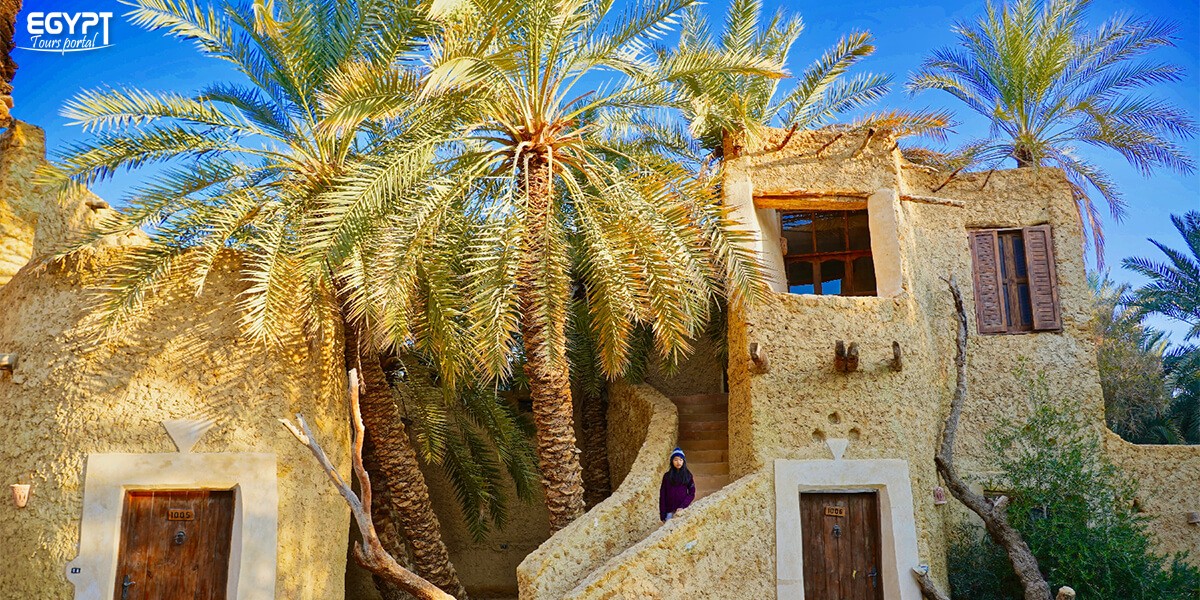 Siwa Safari Kurzurlaubstour in 3 Tagen