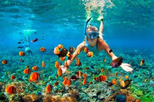 Wycieczka nurkowa i snorkelingowa w Ras Mohamed z Sharm