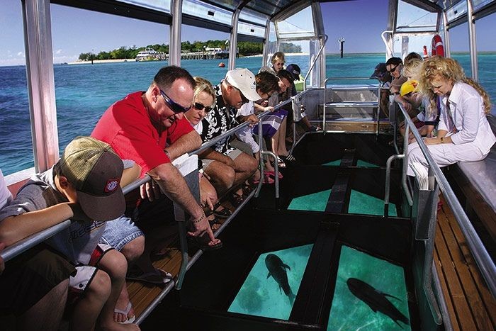 Glasbodenboot-Tour in Dahab