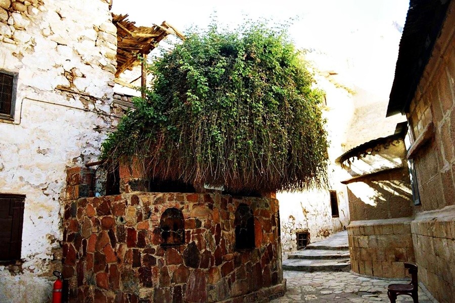 Zwei Tage im Katharinenkloster und auf dem Berg Sinai von Kairo aus